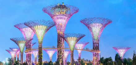 Визовые требования для владельцев паспортов Россия, путешествующих в Сингапур